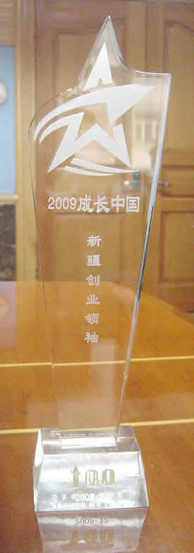 2009成長中國·新疆創業領袖獎
